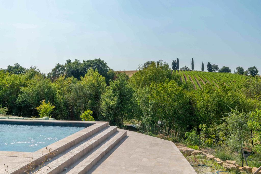 Majou pool vineyard view