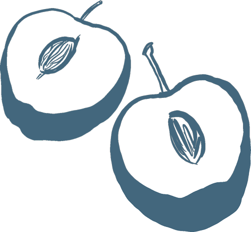 majou-mirabelles-illustration