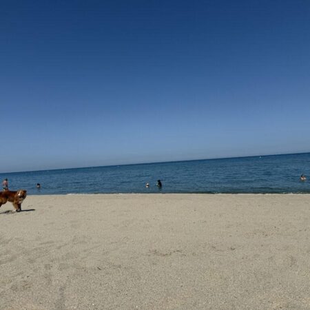 beach-france