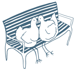 Majou-chickens- wedding venue south france domaine majou